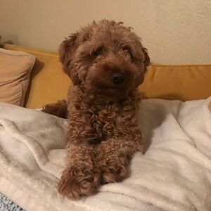 Meet your Posher, Christina